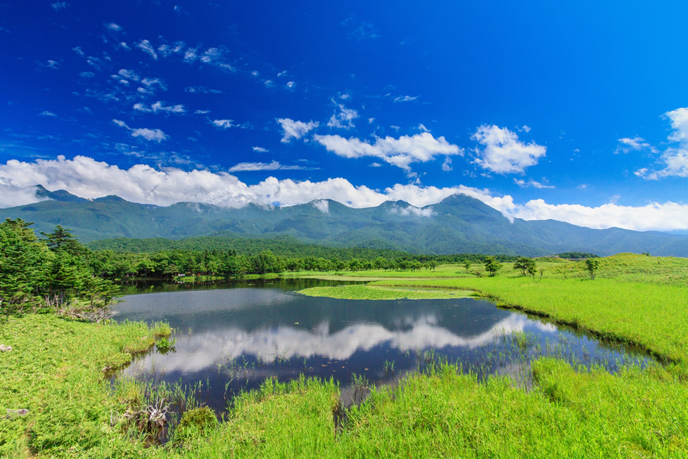 知床 北海道 世界遺産